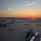 種とともに冬をこえ